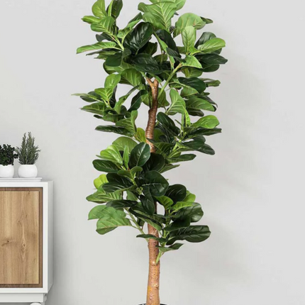 Collection image for: Artificial Grass & Plants