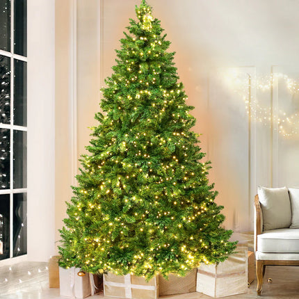 Collection image for: Christmas Trees