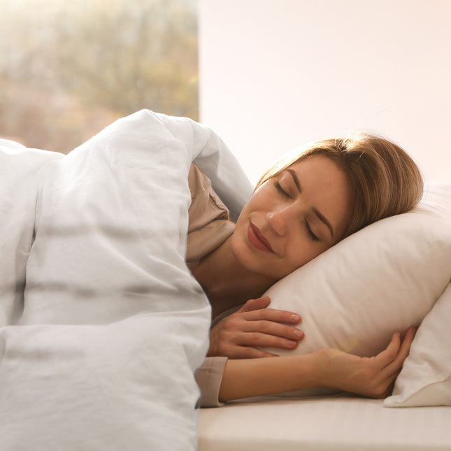 Royal Comfort -Bamboo Quilt Super King - 350GSM-1951134837238796295