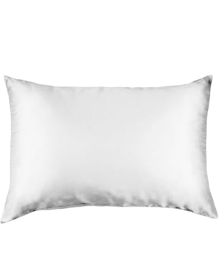 Pure Silk Pillow Case by Royal Comfort-Silver-1951134813960409089