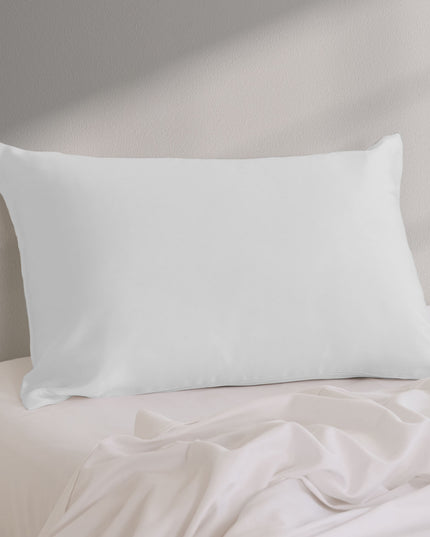 Pure Silk Pillow Case by Royal Comfort-Silver-1951134813960409091