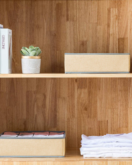 CARLA HOME Set of 2 Fabric Drawer Organizer Divider Storage Boxes for Storing Socks, Underwear, Ties, Scarves (Beige)-1978962239771774982