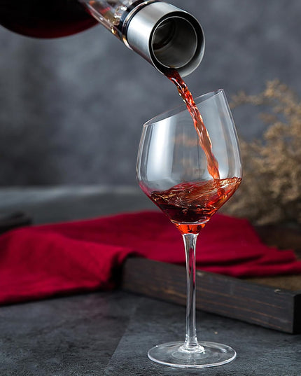 CARLA HOME Iceberg Wine Decanter with Aerator Filter and Lid-1992735295526801416