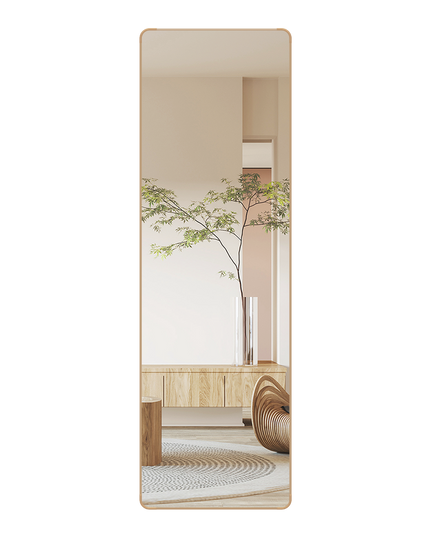 Yezi 120cm Wall Mounted Full Length Mirror Door Hanging-1973193505610272776