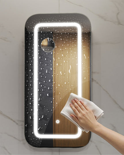 Levede Bathroom Mirror Cabinet-1975420348719566854