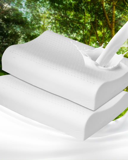 Dreamz 2x Natural Latex Pillow Removable-1973194023480987654