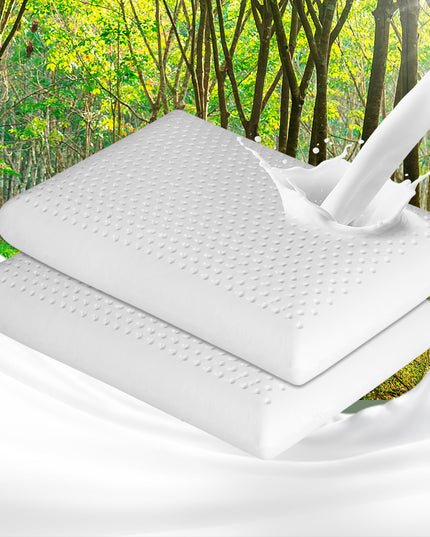 Dreamz 2x Natural Latex Pillow Removable-1973194023283855367