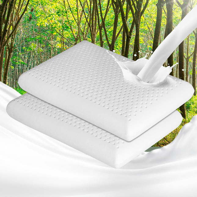 Dreamz 2x Natural Latex Pillow Removable-1973194023283855367