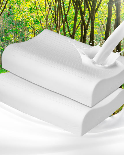 Dreamz 2x Natural Latex Pillow Removable-1973194023480987655