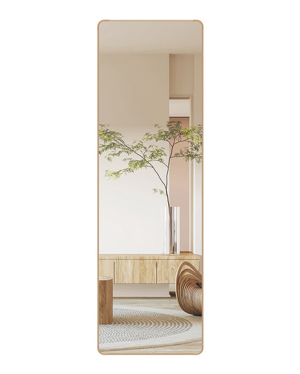 Yezi 120cm Wall Mounted Full Length Mirror Door Hanging-1973193505610272768