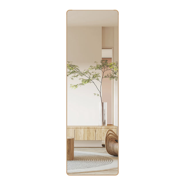 Yezi 120cm Wall Mounted Full Length Mirror Door Hanging-1973193505610272768