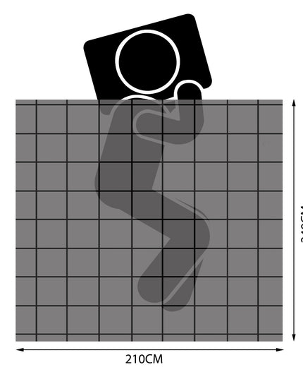 DreamZ 500GSM Goose Quilt Down Feather King-1973193829884497922