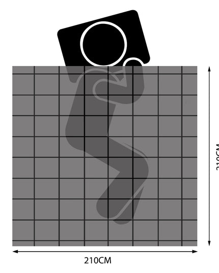 DreamZ 500GSM All Season Goose Down Queen-1973193830257790978